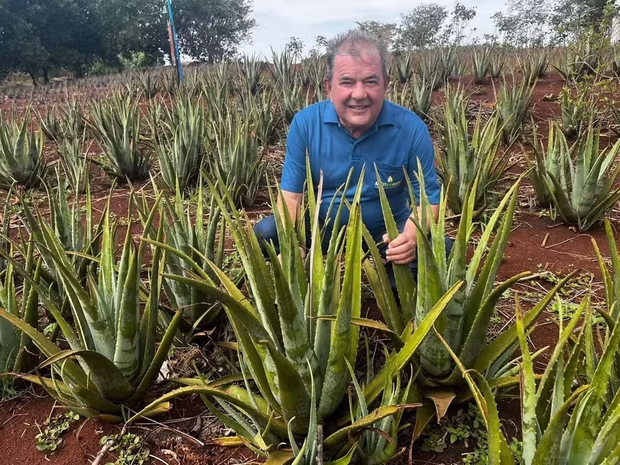 Magno Alves expande uso de Aloe Fértil no agronegócio via parceria com Bunge