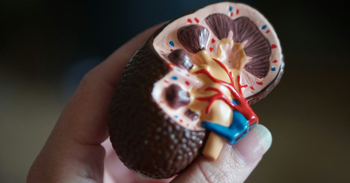Datafolha revela: jovens ignoram elo entre diabetes e doença renal