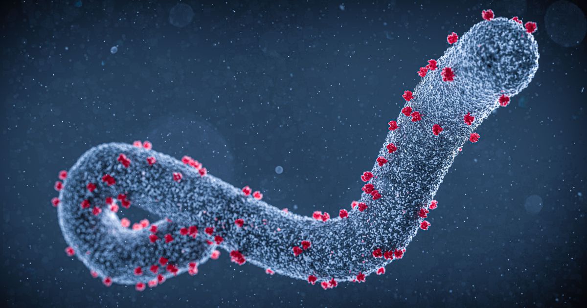 Organização Mundial da Saúde declara emergência internacional para surto de ebola