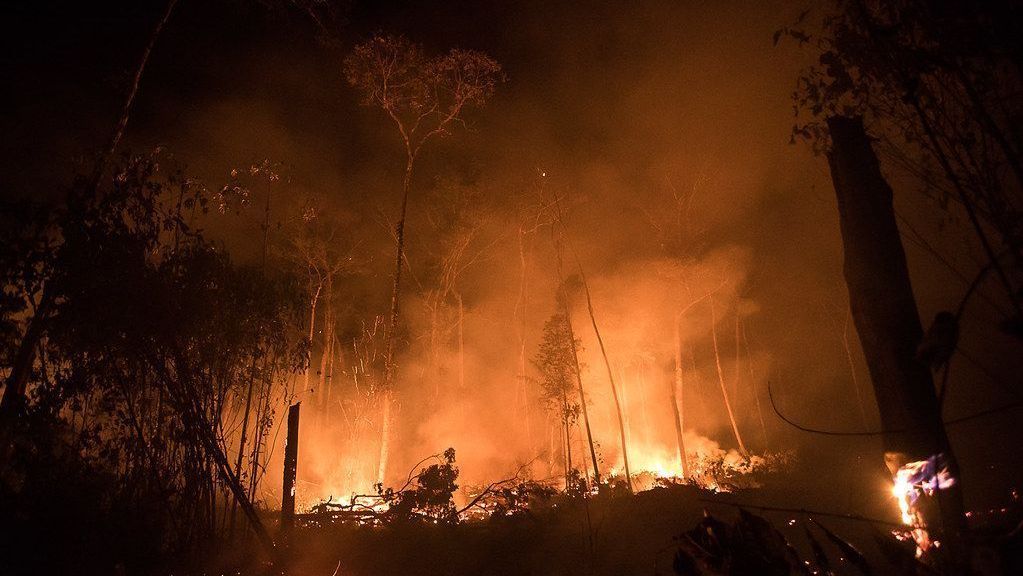 El Niño impulsiona risco de incêndios florestais no Brasil