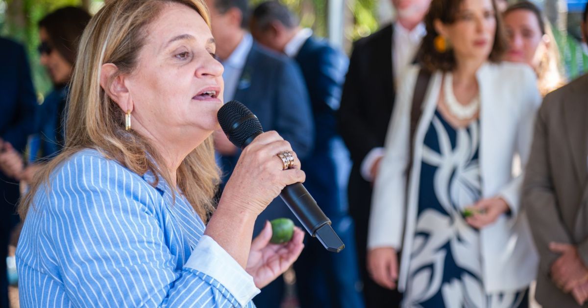 Embrapa busca R$ 1 bilhão para garantir futuro da pesquisa agropecuária no Brasil