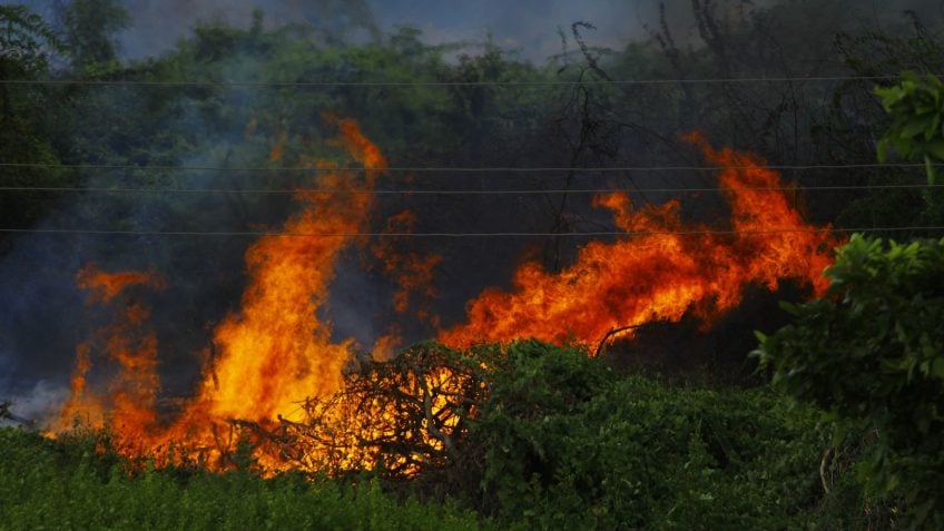 Emissão global de gases por incêndios atinge menor patamar em 24 anos
