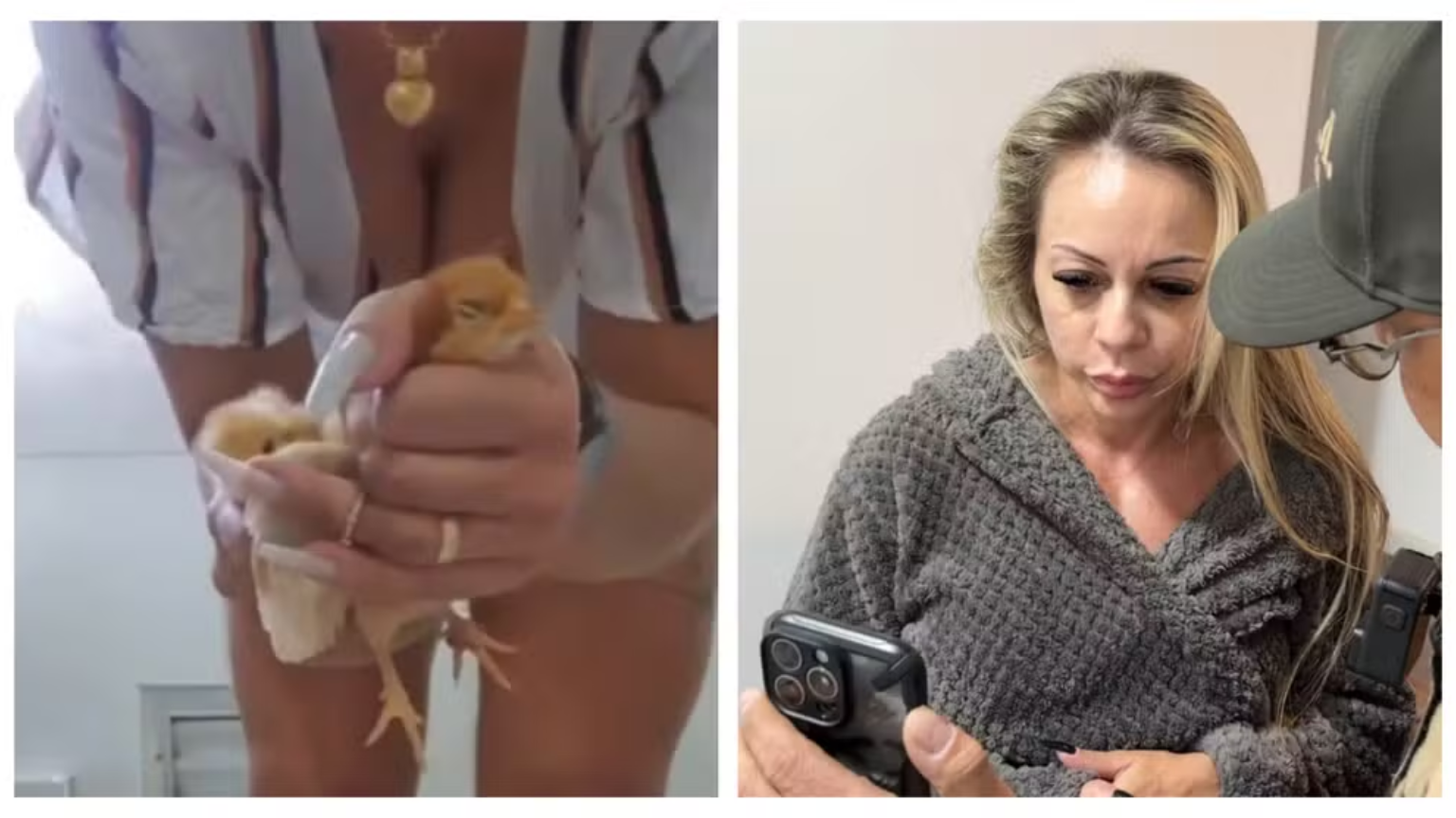 Empresária suspeita de tortura e morte de animais em vídeos é solta após prisão em São Paulo