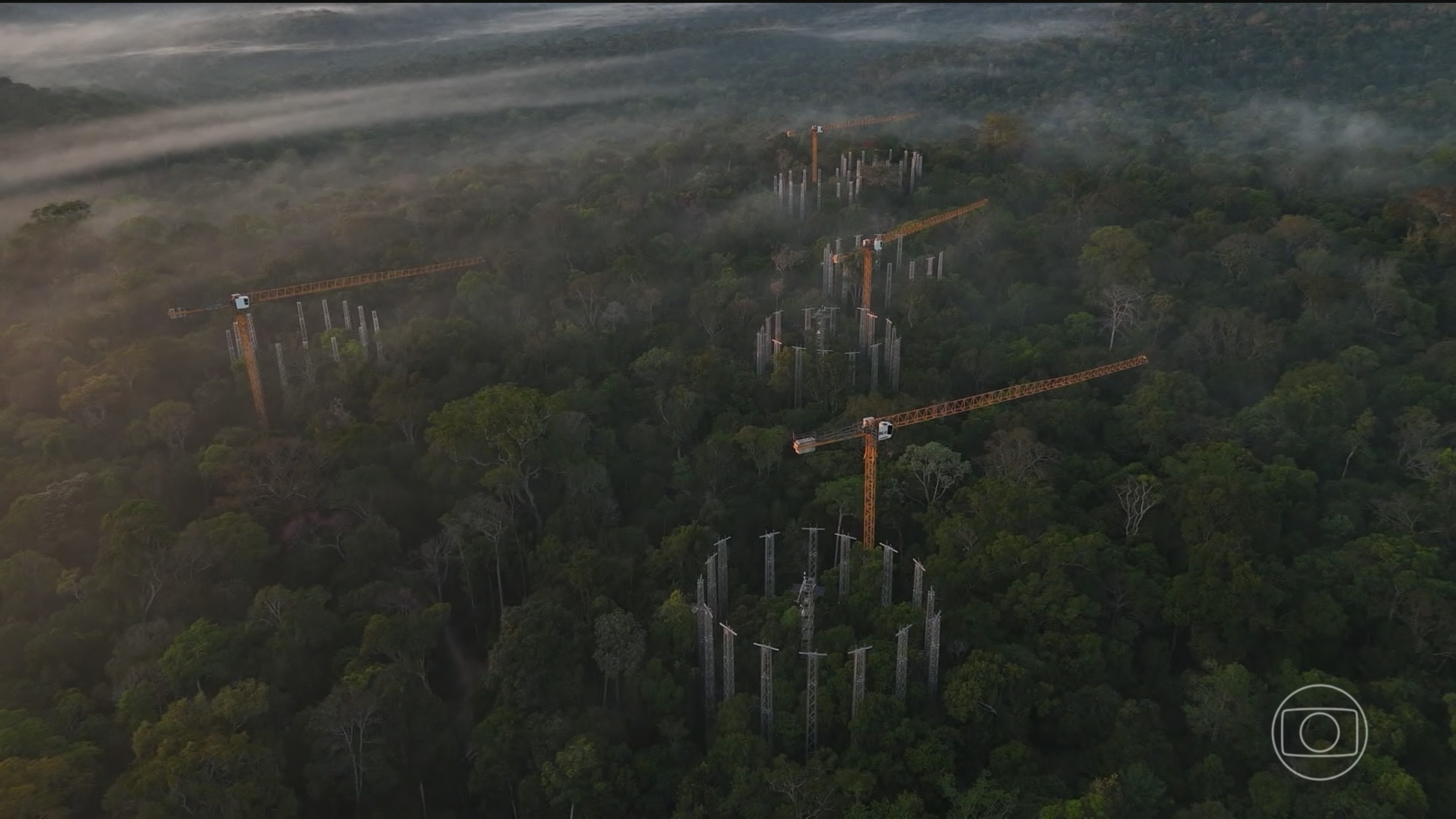 Cientistas instalam tecnologia pioneira para prever o futuro da Amazônia