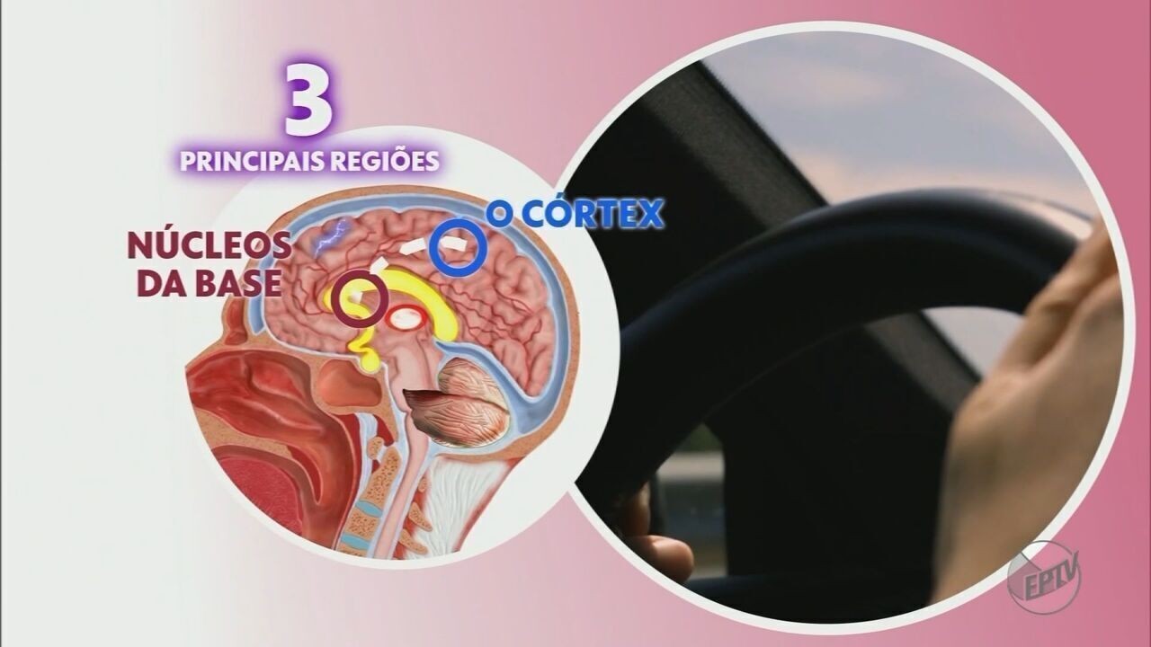 Como o efeito do recomeço impulsiona a mudança de hábitos