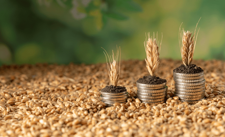 Estoque de Cédulas de Produto Rural sobe 13% em maio de 2026, mas novas emissões caem