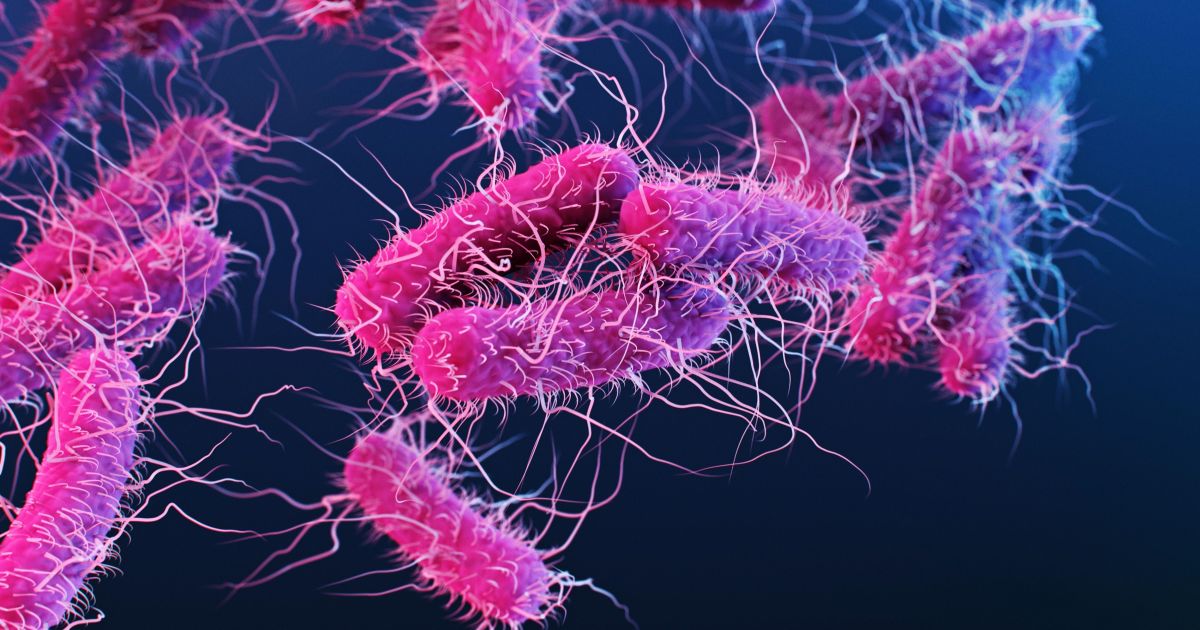 Pesquisa da USP abre caminho para novos antibióticos contra Salmonella