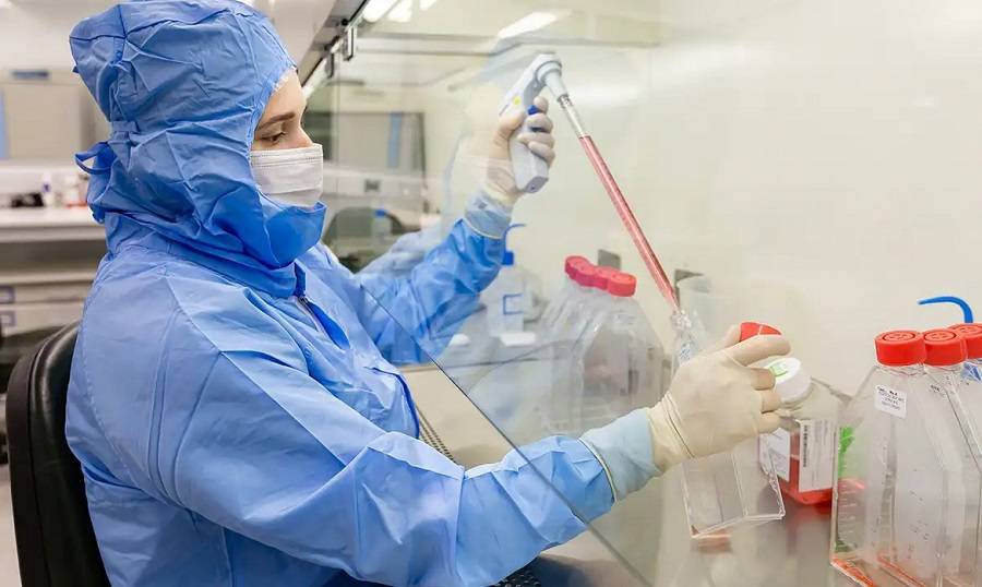 Pesquisadores da PUCPR desenvolvem terapia com células-tronco para combater rejeição em transplantes de medula