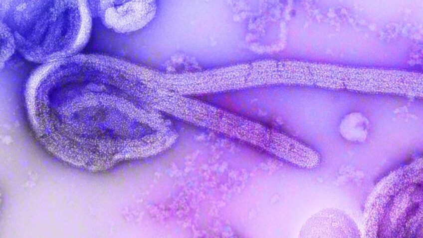 EUA impõem novas restrições contra o ebola