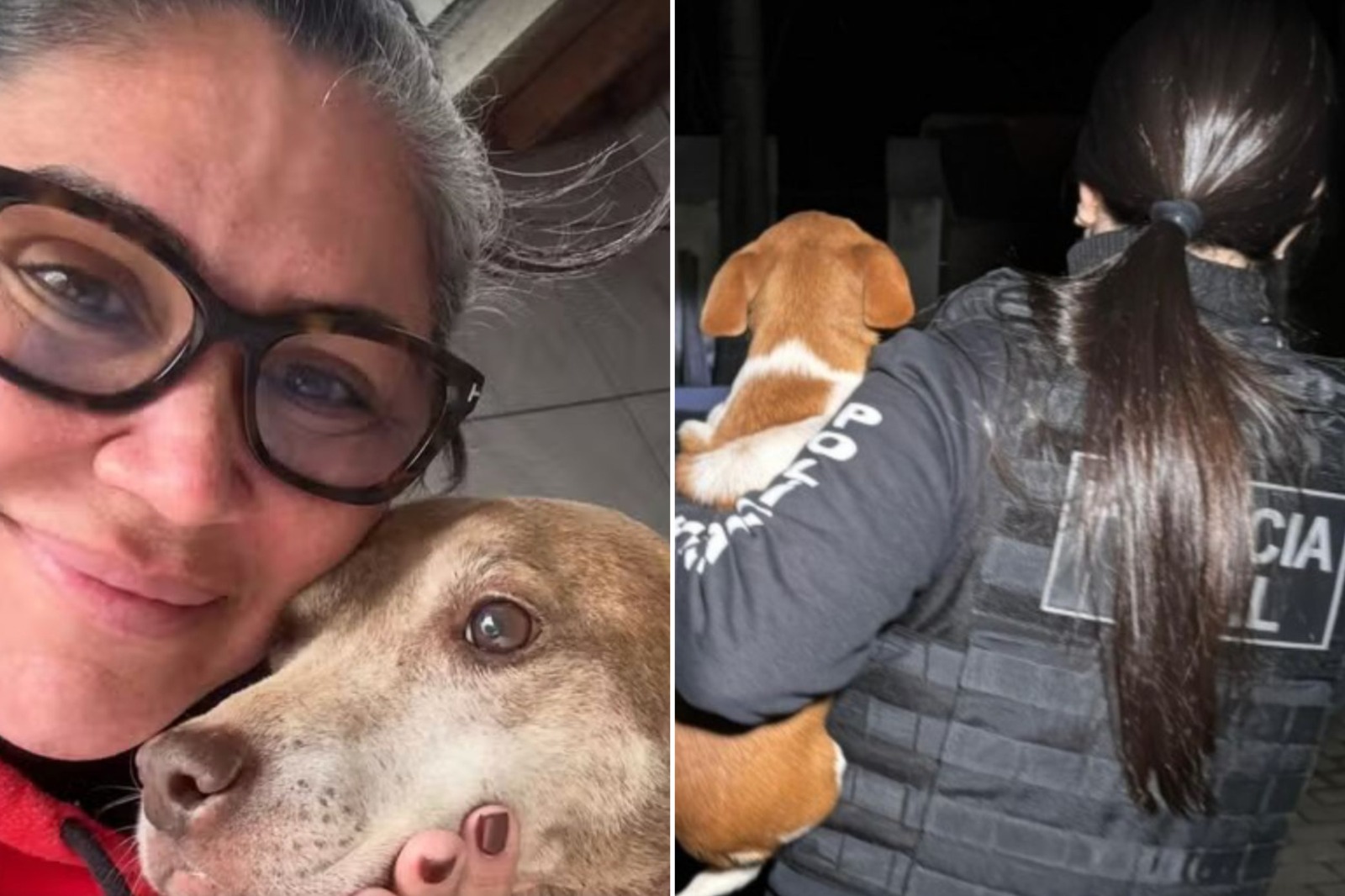 Ex-secretária de Bem-Estar Animal é presa por eutanásia irregular de animais via Pix