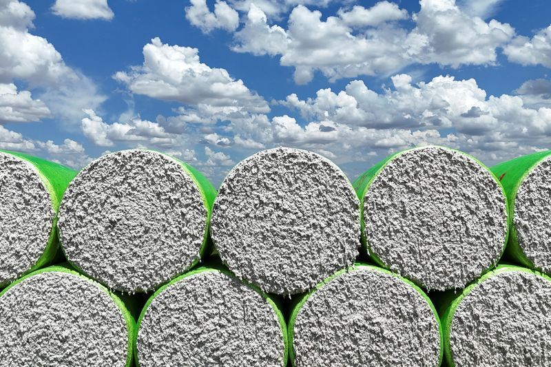Associação Nacional dos Exportadores de Algodão eleva projeção e prevê exportação recorde de pluma em 2026