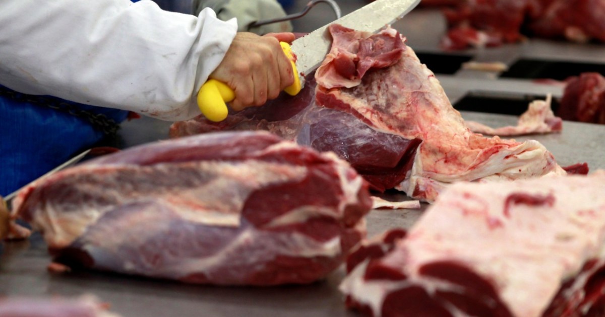 Abiec celebra recorde histórico nas exportações de carne bovina no primeiro semestre de 2026