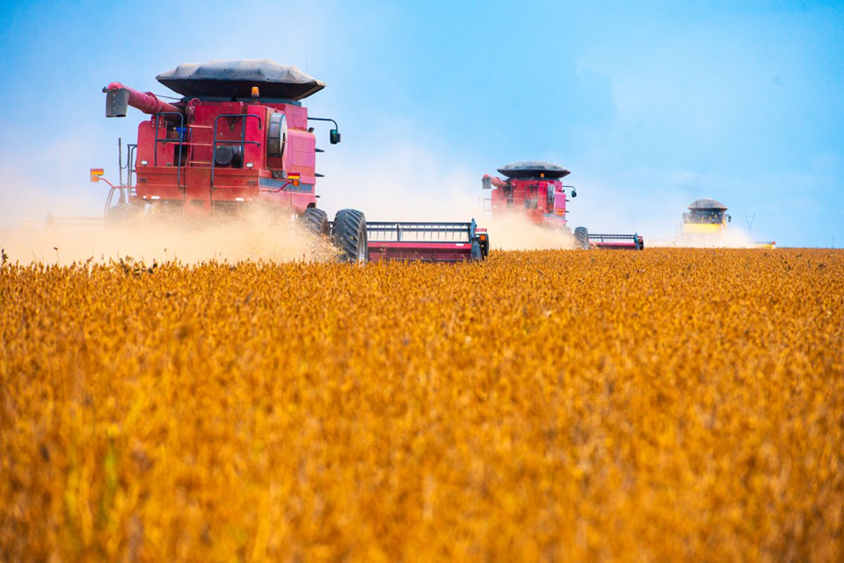 Ministério da Agricultura anuncia recorde histórico de exportações em abril