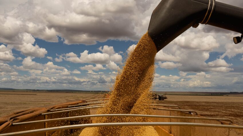 Exportações do agro disparam 8% e alcançam US$ 16 bilhões em maio de 2026