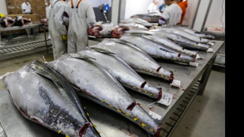 Exportações do Rio Grande do Norte para os EUA despencam 60,8% em 2026