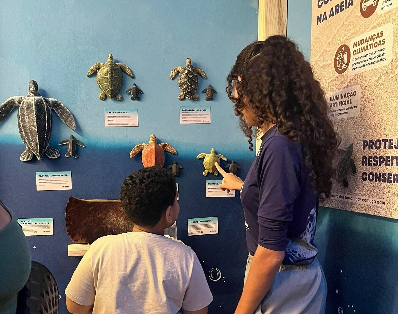 Exposição gratuita "O Mundo das Tartarugas Marinhas" em Natal celebra Dia Internacional