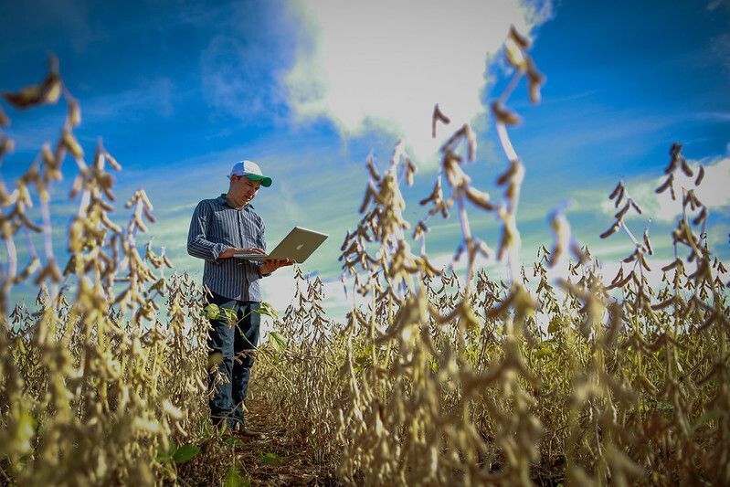 Seara lança programa para formar jovens líderes rurais e combater escassez de mão de obra no agro