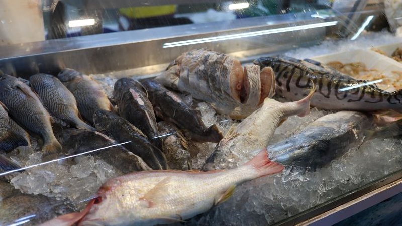 Família é internada em Natal após intoxicação por peixe do Alecrim
