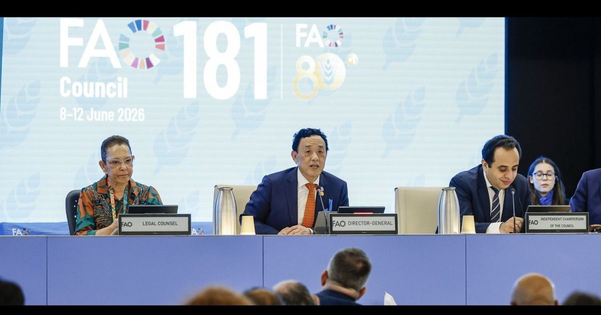 FAO alerta para risco de choque em fertilizantes e produção agrícola global