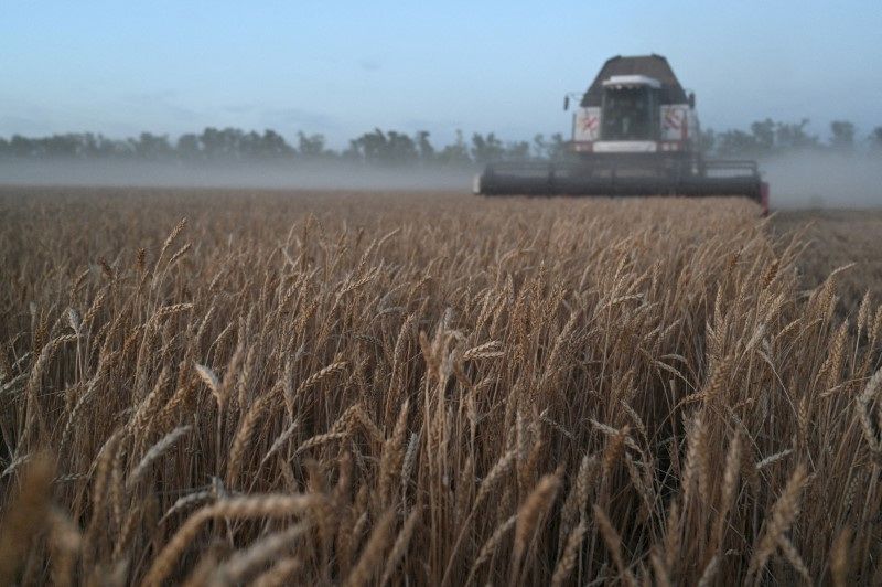 Farsul: Inflação de alimentos não tem origem no campo, mas na cadeia e macroeconomia
