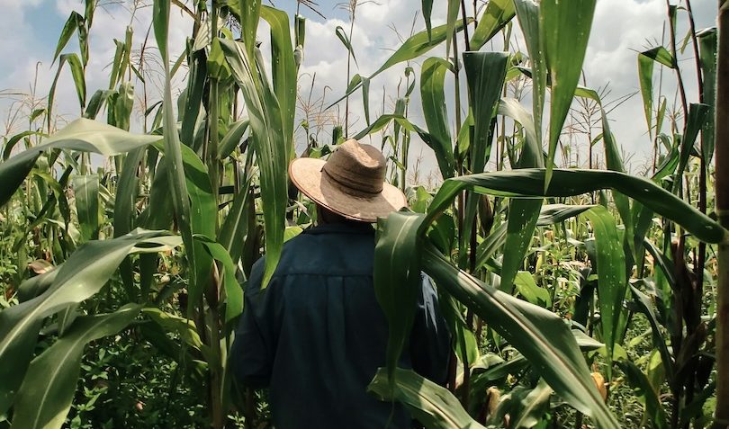 Fazenda estuda Fundo Garantidor para dívidas rurais