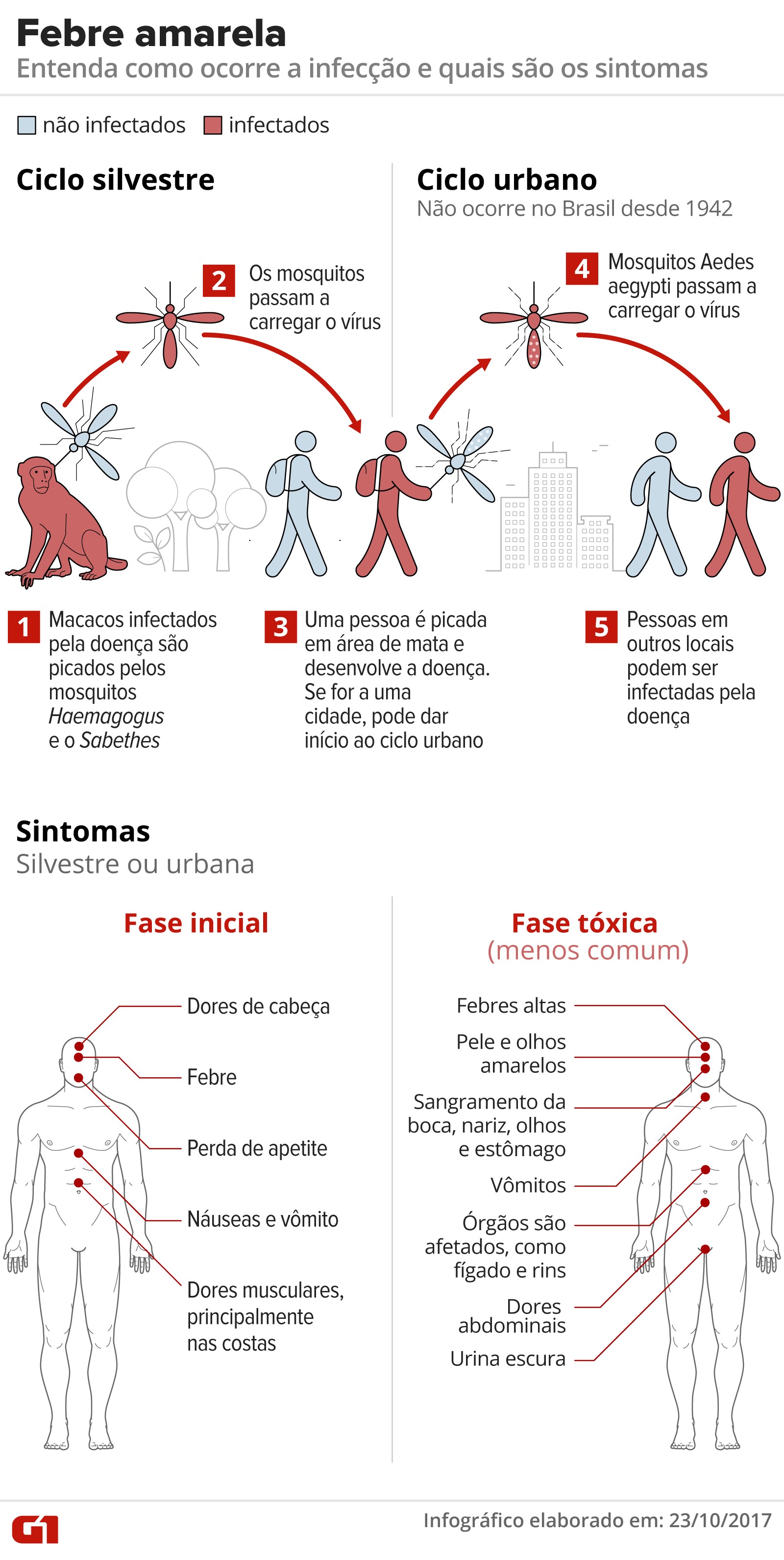 Exame confirma vírus da febre amarela em macaco encontrado em Uberlândia