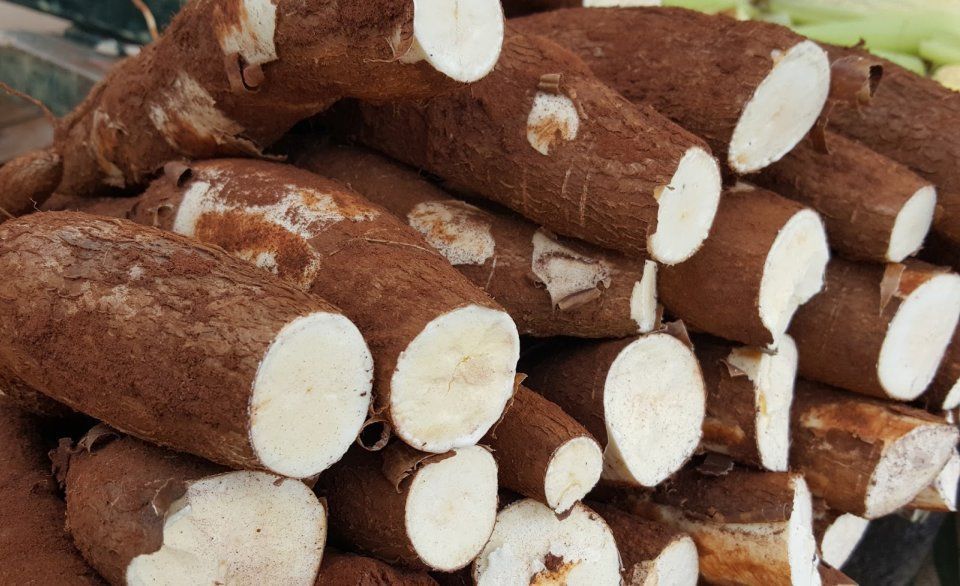 Feijão e mandioca: como itens tão Brasileiras influenciaram a cesta básica