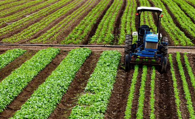 Abag: Fertilizantes e dívidas representam os maiores desafios para o agronegócio brasileiro
