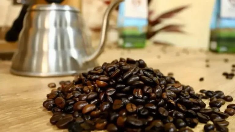 Festa do Boi 2026 lança concurso inédito para premiar os melhores cafés do Nordeste