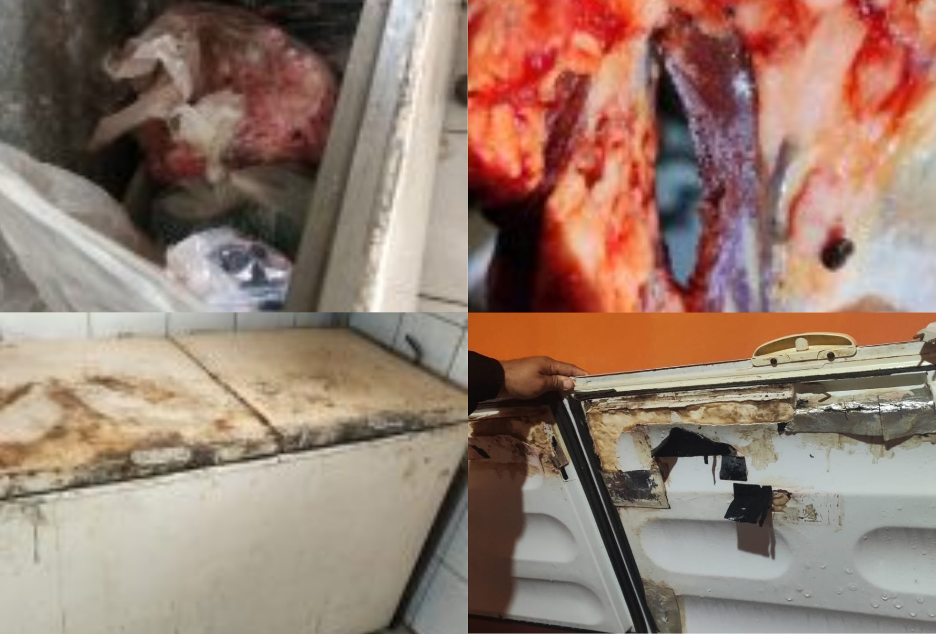 Mais de 750 kg de carne imprópria para consumo são descartados em Paranaíba