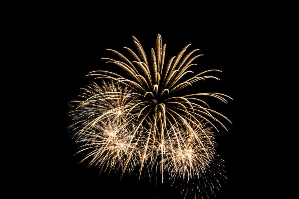 Fogos de artifício: ruídos intensos ameaçam a vida e a saúde de pets