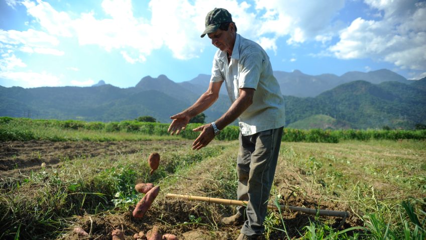 Frente Parlamentar da Agropecuária critica veto presidencial ao Projeto dos Safristas