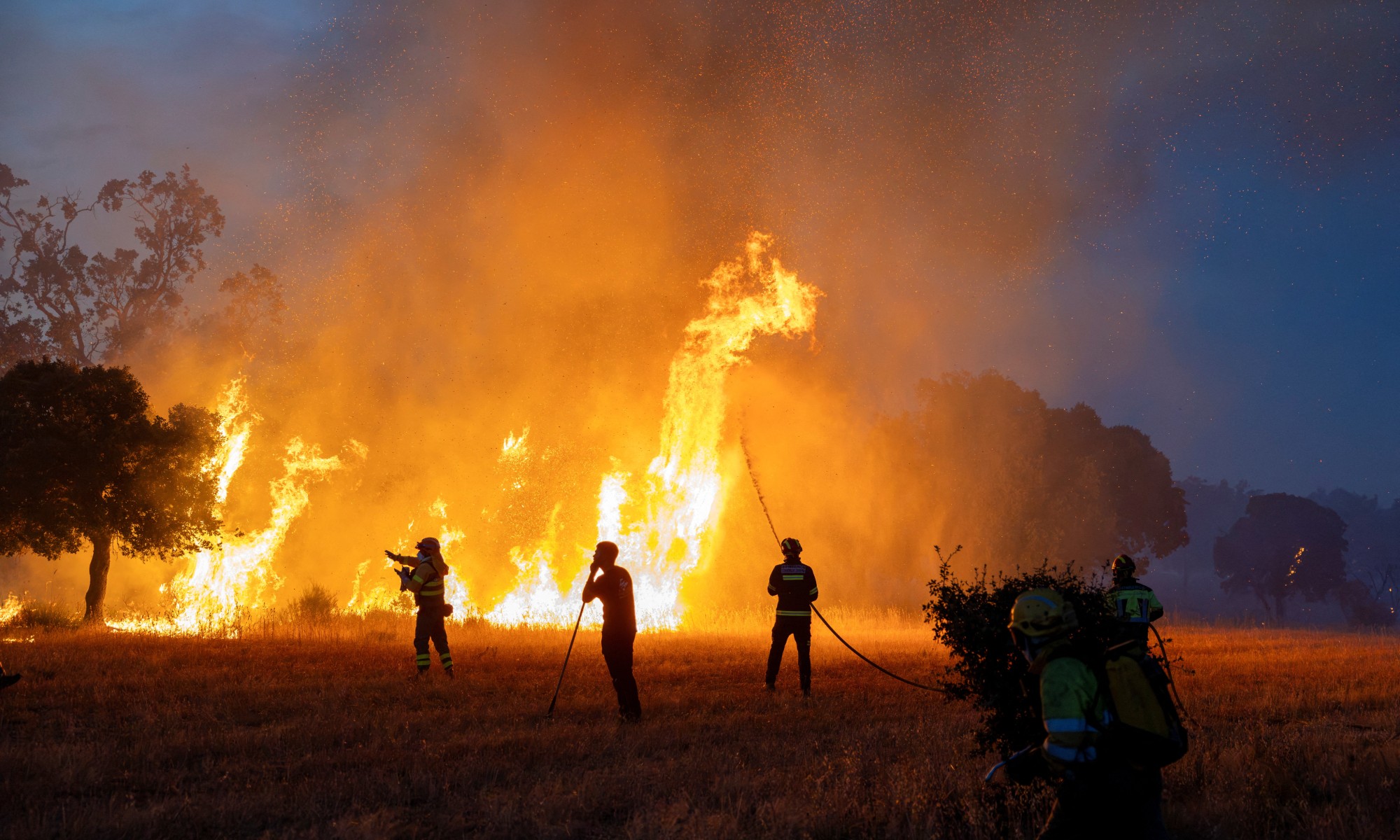 Riscos da fumaça de incêndios florestais para a saúde a longo prazo