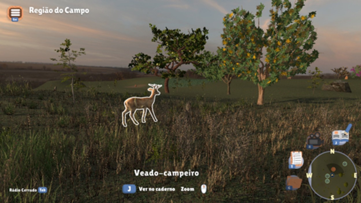 Jogo educativo “Panorama Cerrado” da USP de São Carlos imerge usuários na biodiversidade brasileira