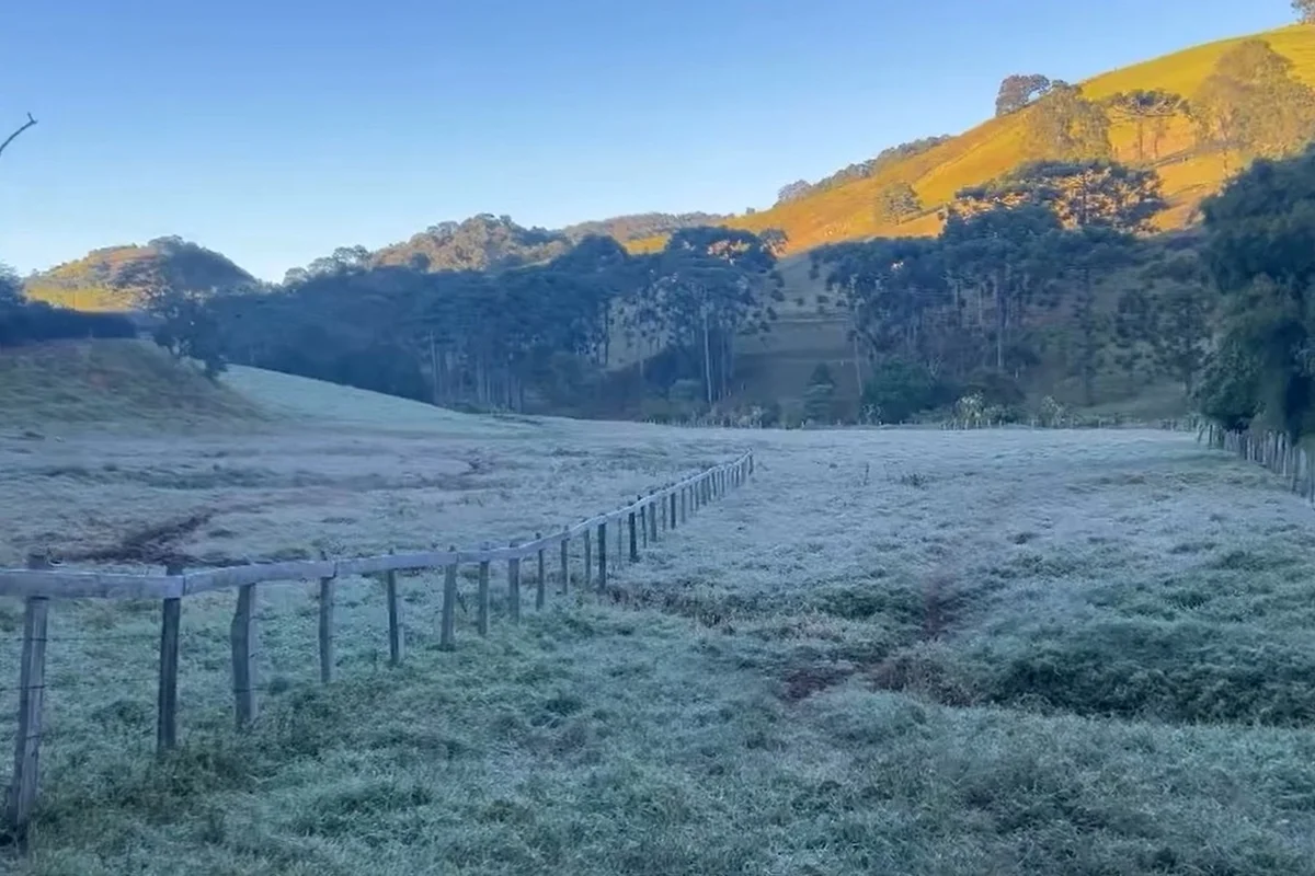 Geada atinge MG e termômetros marcam -3°C em Maria da Fé