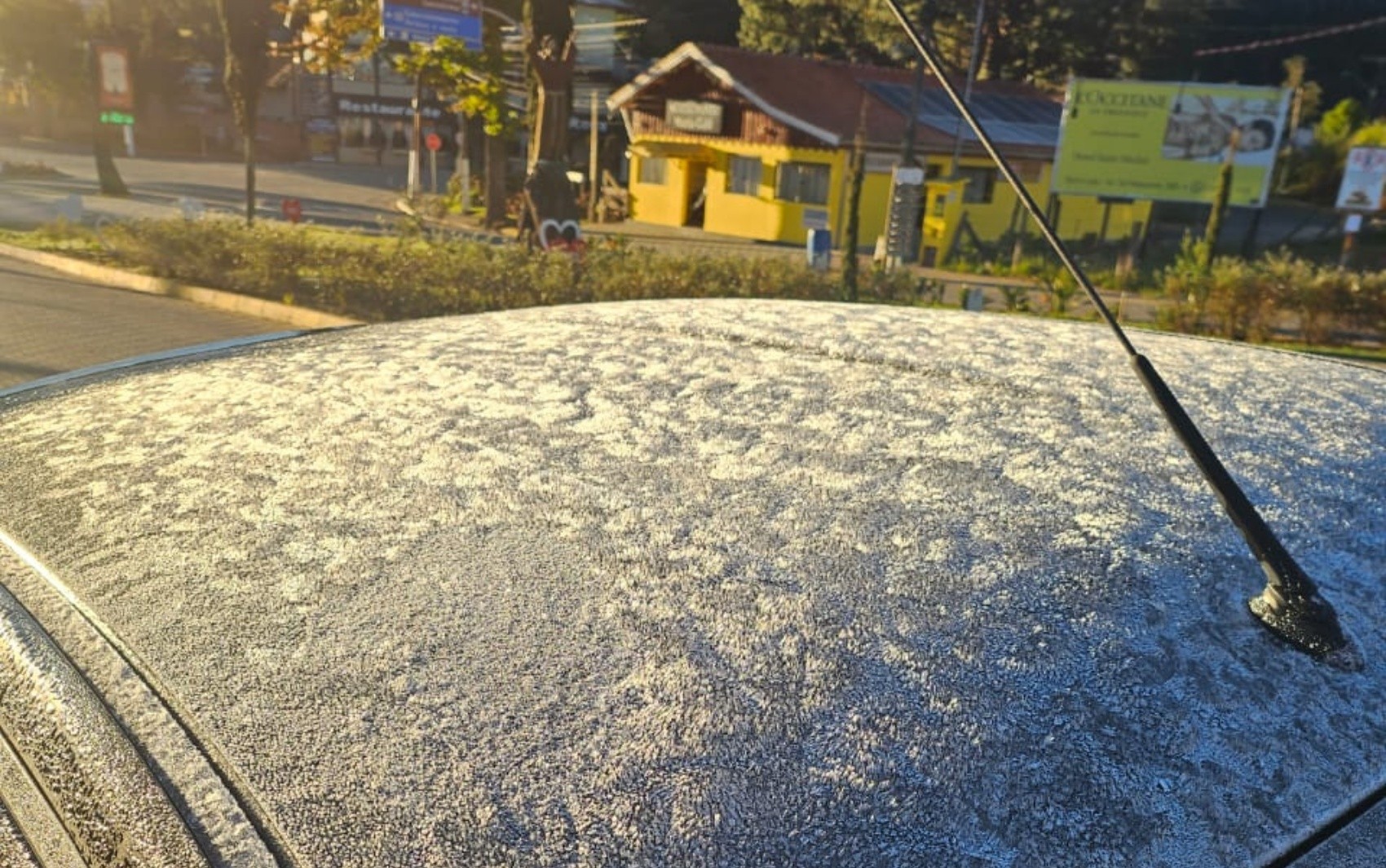Geada cobre Monte Verde, na Serra da Mantiqueira, após temperatura mínima de 0,4°C