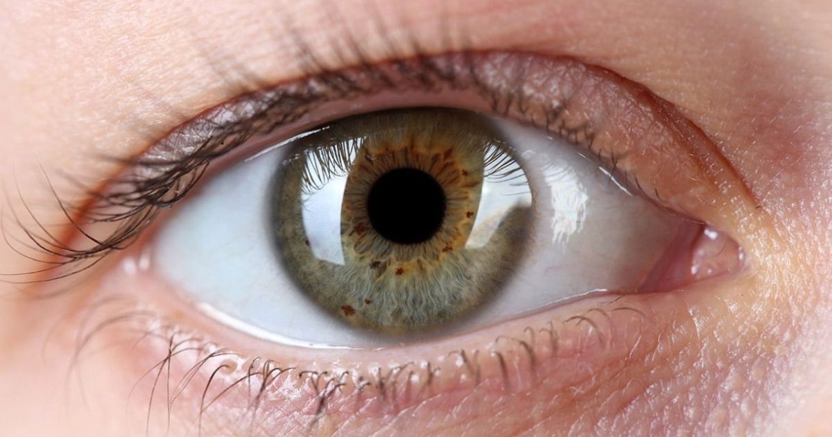 Oftalmologistas destacam urgência contra cegueira evitável do glaucoma