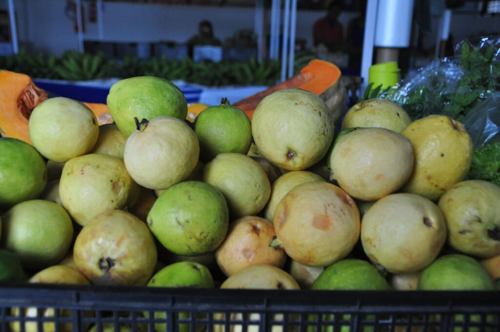 Suco de goiaba potencializa combate à anemia, revela estudo