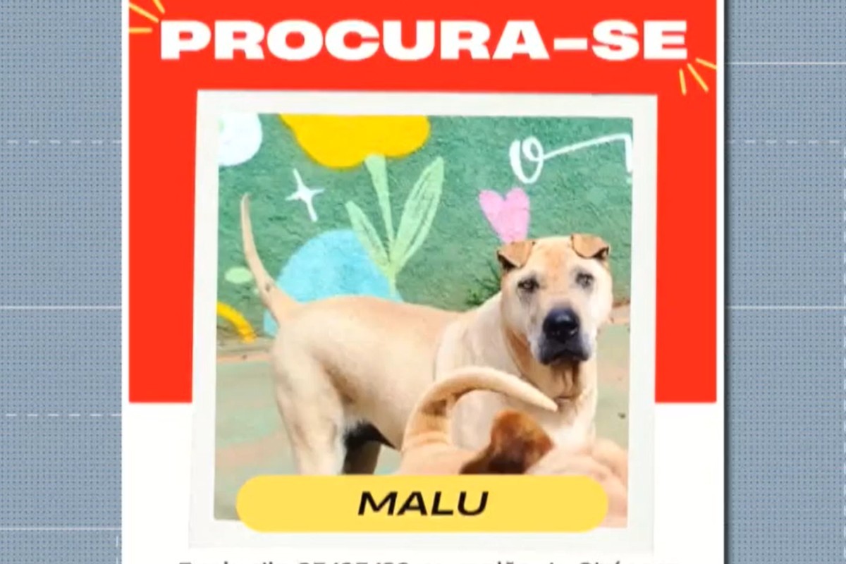 Golpe do pet: Criminosos usam IA para extorquir em MS
