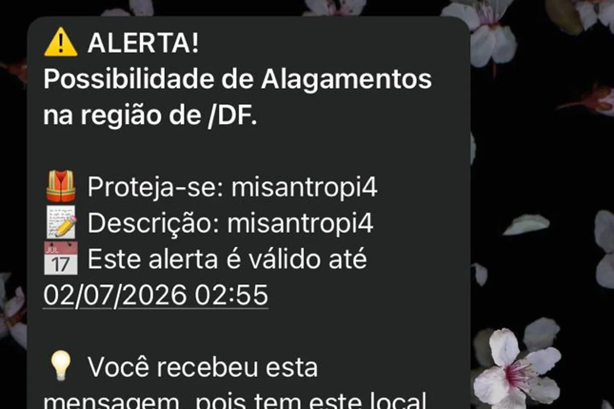 Governo confirma invasão em sistema de alertas da Defesa Civil
