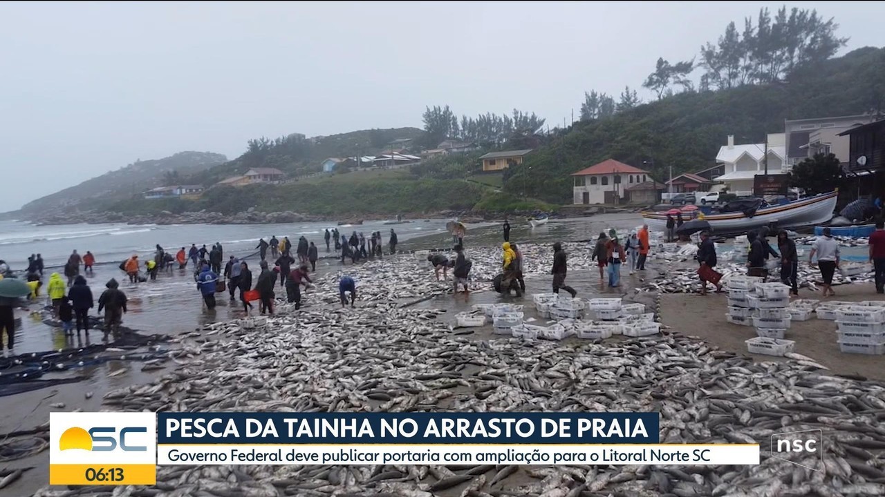 Governo Federal amplia cota de arrasto da tainha no Norte de SC