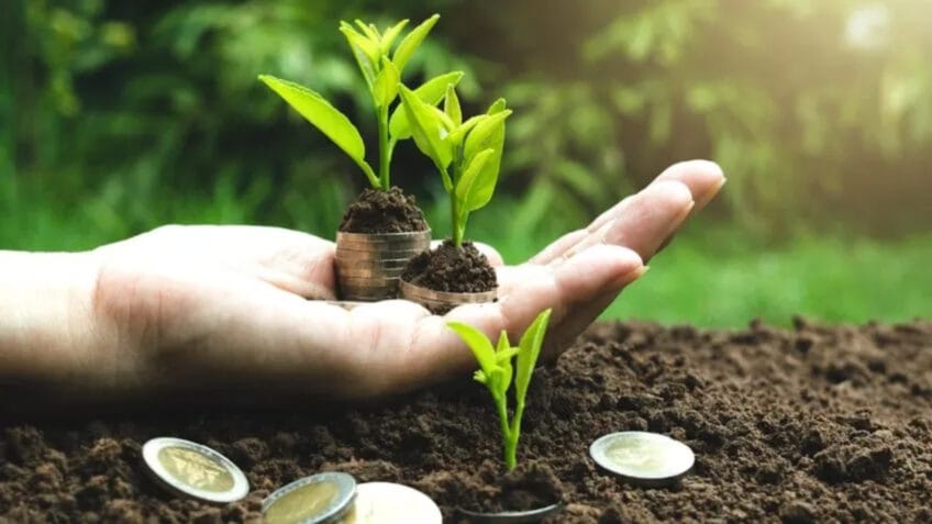 Governo lança leilão para captar capital em projetos sustentáveis
