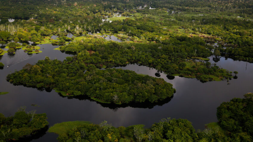 Governo libera R$ 150 milhões do Fundo Amazônia para projetos sustentáveis na região