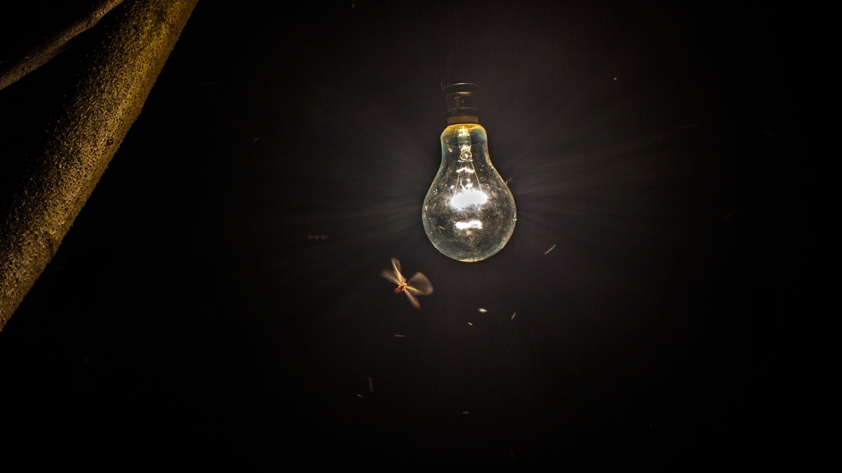 Lula muda regras do Luz para Todos e amplia acesso à energia