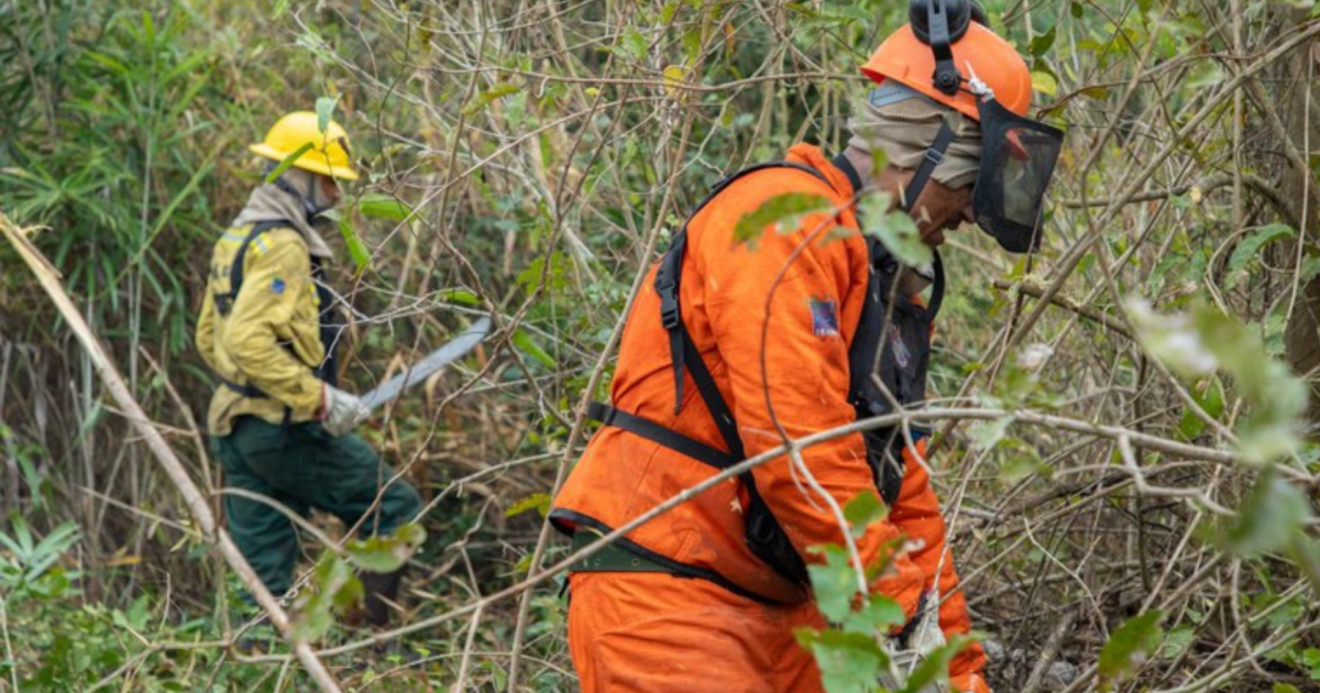 Governo federal se prepara para seca extrema e risco de queimadas no segundo semestre de 2026