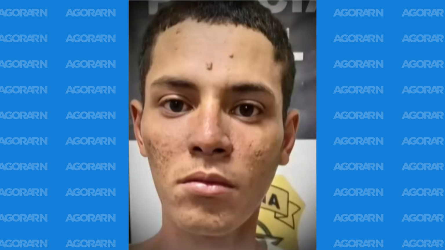 Homem é preso após confessar maus-tratos e morte de cachorros em Serra do Mel