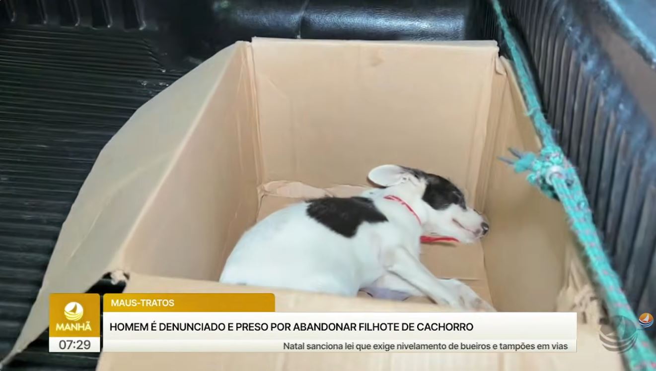 Homem é preso em Natal por suspeita de maus-tratos contra filhote e desacato à Polícia Militar