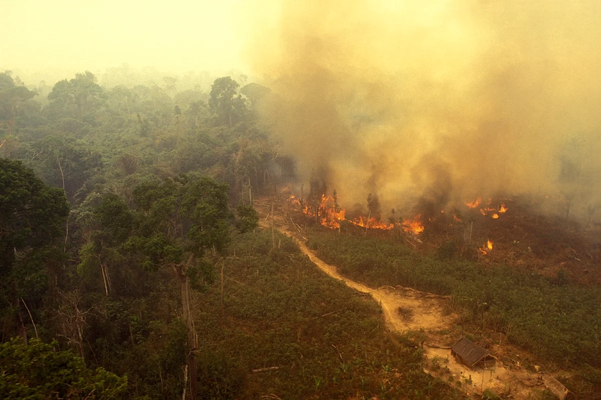 Tecnologia de IA prevê queimadas na Amazônia com 14 dias de antecedência