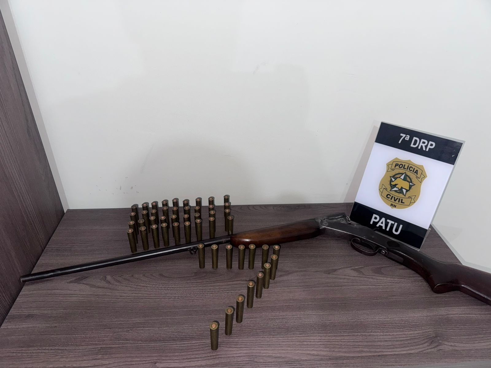 Polícia Civil prende idoso por arma ilegal e violência doméstica em Patu