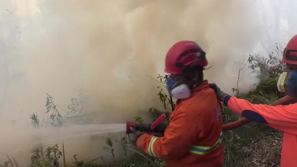 Incêndio florestal atinge Monte Bromo e força fechamento do Parque Nacional na Indonésia